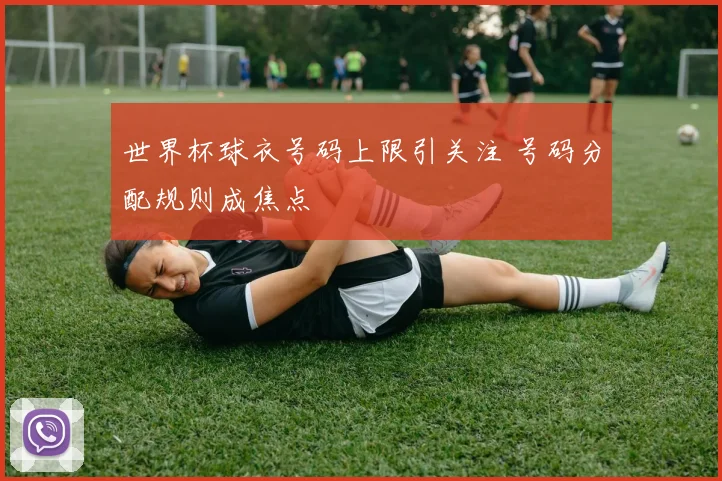 世界杯球衣号码上限引关注 号码分配规则成焦点