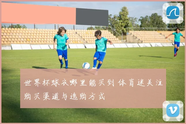 世界杯球衣哪里能买到 体育迷关注购买渠道与选购方式