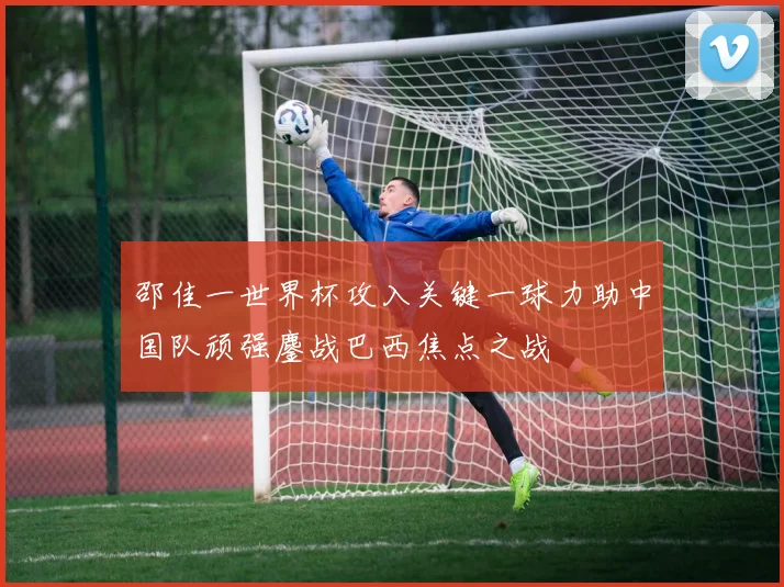 邵佳一世界杯攻入关键一球力助中国队顽强鏖战巴西焦点之战
