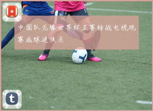 中国队无缘世界杯正赛转战电视观赛成球迷焦点