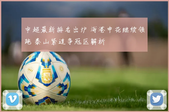 中超最新排名出炉 海港申花继续领跑 泰山紧追争冠区解析